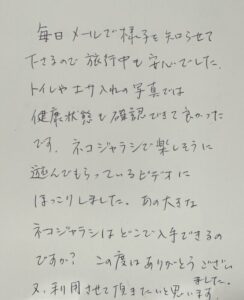 ペットシッター　ノルウェージャンフォレストキャットのジュードくんのご家族様