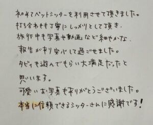 ペットシッター　アメリカンショートヘアのタビィちゃんのご家族様