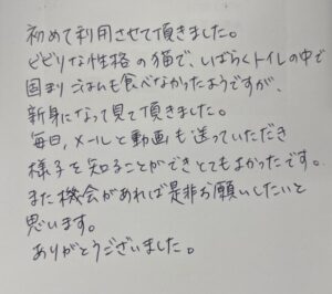 ペットホテル　猫のメイちゃんのご家族様