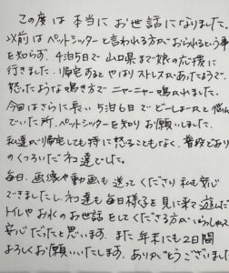 ペットシッター　箕面市　猫のみおちゃんとまおちゃんのご家族様