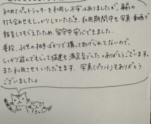 ペットシッター　アメリカンショートヘアのロメくんとスコティッシュフォールドのきんくんのご家族様