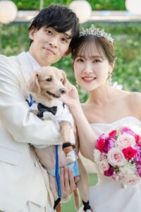 ウエディングペットシッター　リングドッグ　江坂　チワックスのクゥくん