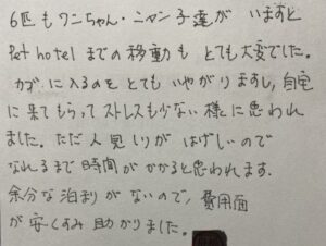ペットシッター　箕面市　わんことにゃんこ6匹のご家族様
