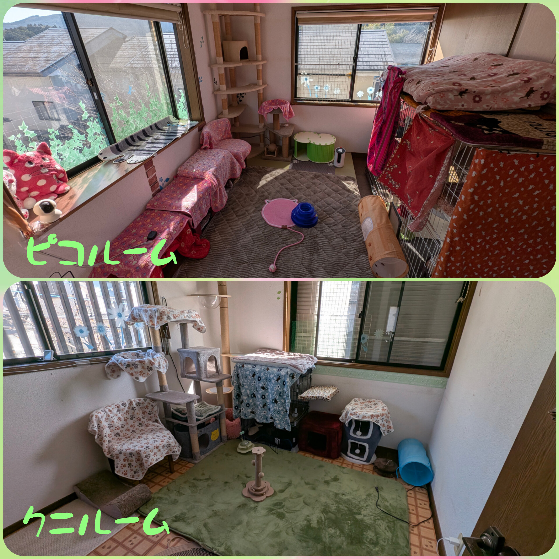 ペットホテル個室