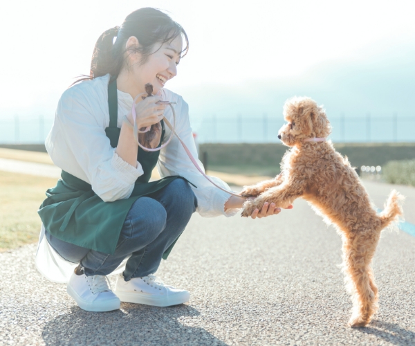 経験豊富なプロフェッショナルスタッフ