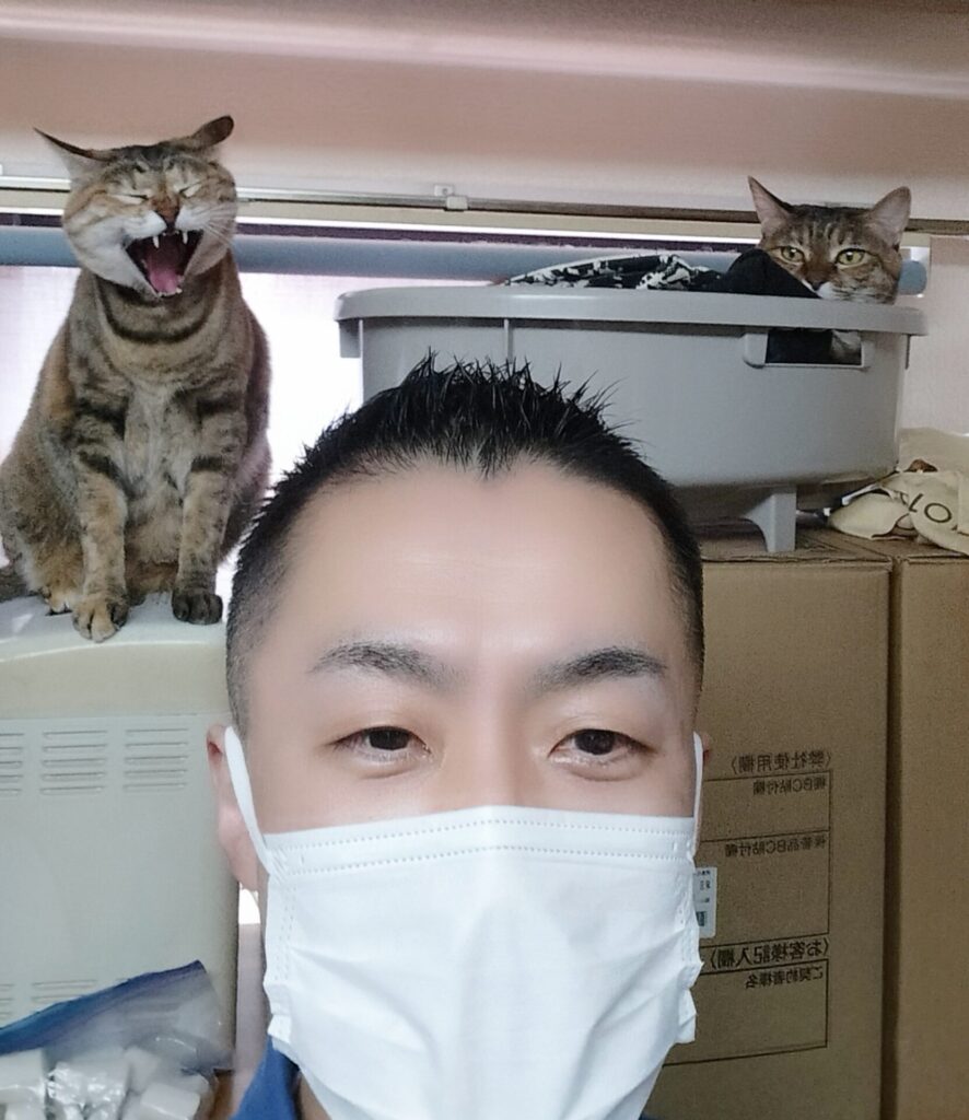 中野区 お得意様  双子のニャンちゃん  お世話レポート🐈