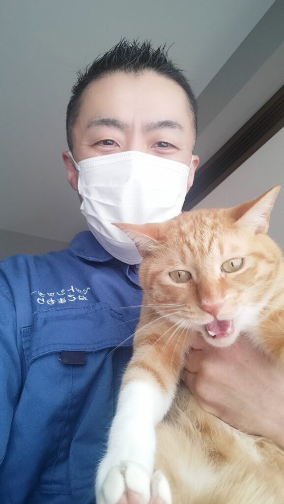 新宿区 ご新規様 ごろ〜んごろ〜ん大好きな 茶白くん お世話レポート🐈