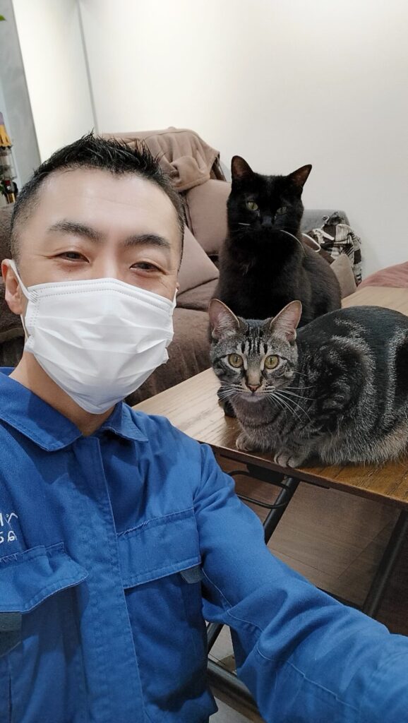 杉並区 ご新規様 元保護猫 いつも一緒の仲良し兄弟ニャンくん お世話レポート🐈