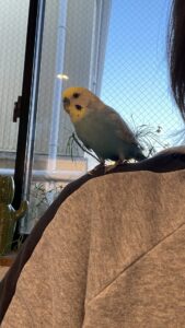 🦜ノリノリダンス☺️