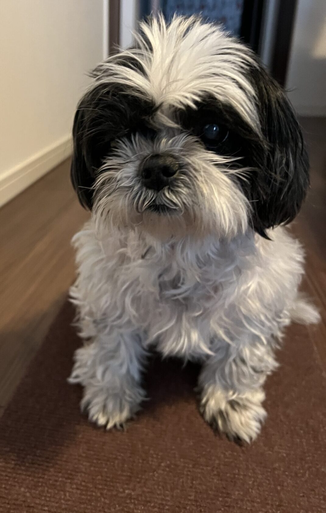 まなちゃん　ラブちゃん　レンちゃん　通常コース　　リピートのご依頼♪