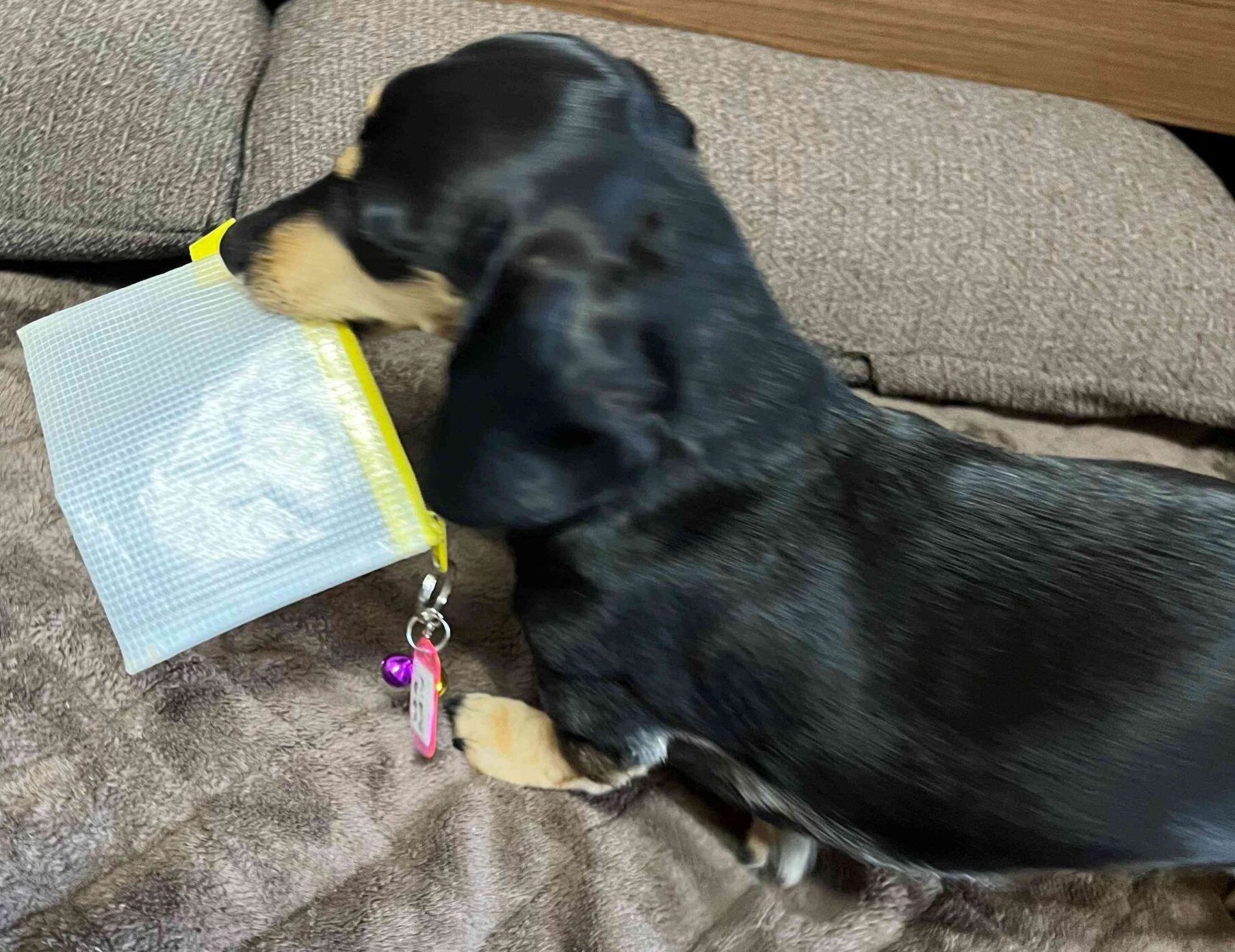 ダロンイ君♪通常コース　リピートのご依頼♪