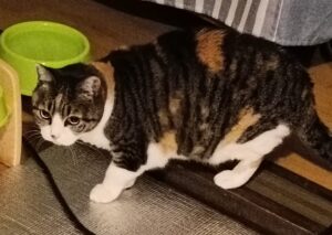 逗子市│物語の続きは“ちょっとだけトントン”から