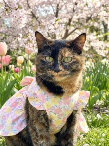 2026年GW繁忙期のお知らせとなります