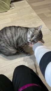 😺沢山甘えてくれてありがとう☺️