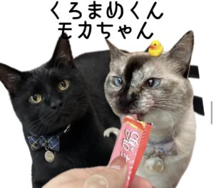 ワンパクくろまめ君と恥ずかしがり屋のモカちゃん