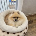 現在の画像に代替テキストがありません。ファイル名: IMG_9050.jpeg