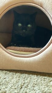 😺出て来てくれました☺️