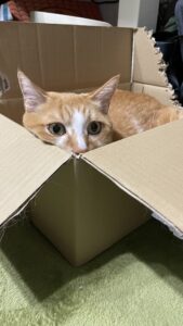 😺お兄ちゃん＆弟☺️