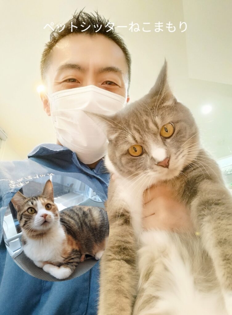 杉並区 お得意様 いつも一緒の仲良しニャンちゃん お世話レポート🐈