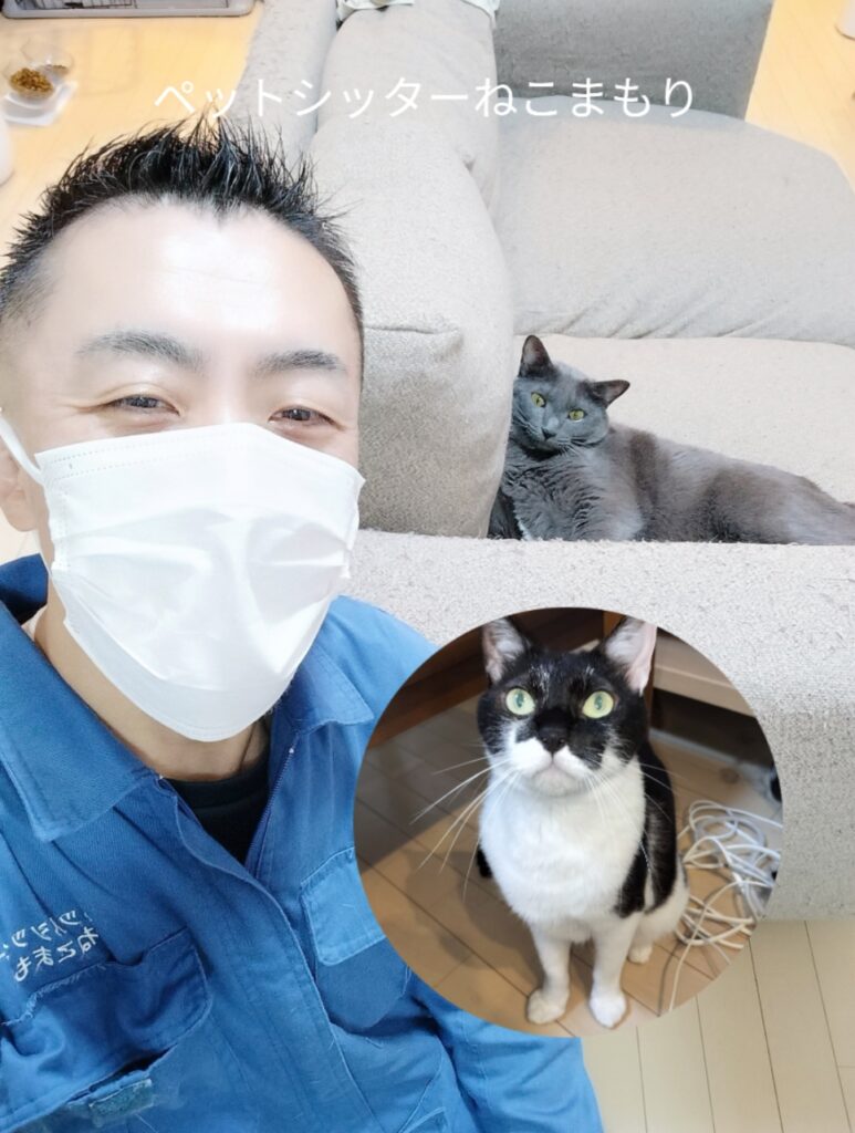 新宿区 お得意様 白黒ニャンくん＆ロシアンmixくん お世話レポート🐈