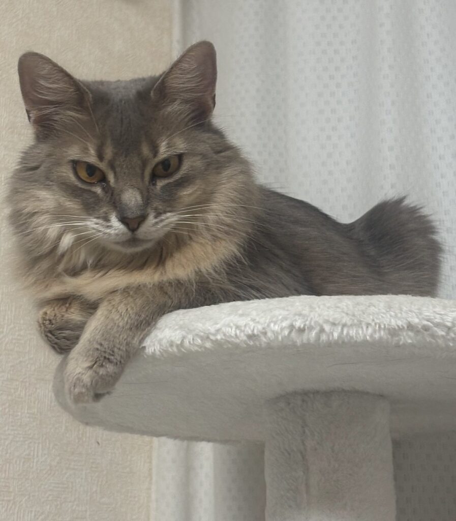 2026年4月25日（土）～ 5月10日（日）まで繁忙期になります。