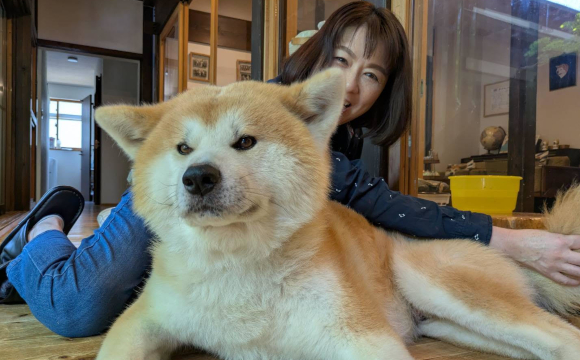 ペットシッター寅次郎