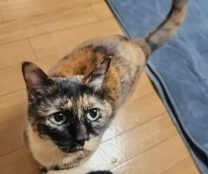 「尼崎市」お久しぶりのお天ちゃん(*^^*)