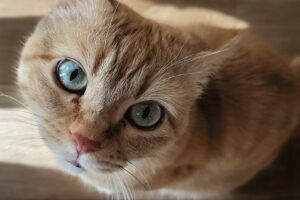 「西宮市」みゅうちゃん(*^^*)