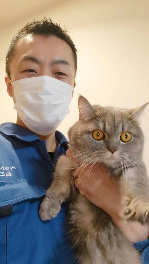 渋谷区 お得意様 ぷにゅぷにゅ感がたまらな〜い！ フォールデックスちゃん お世話レポート🐈