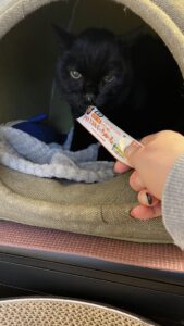 😺少しだけ出て来てくれました☺️