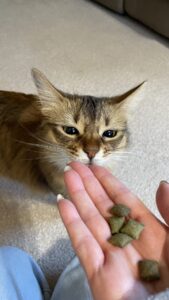 😺お久しぶり☺️