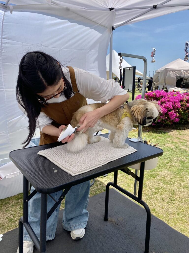 蒲郡市 竹島ガーデンピクニック🐶に参加してきました。