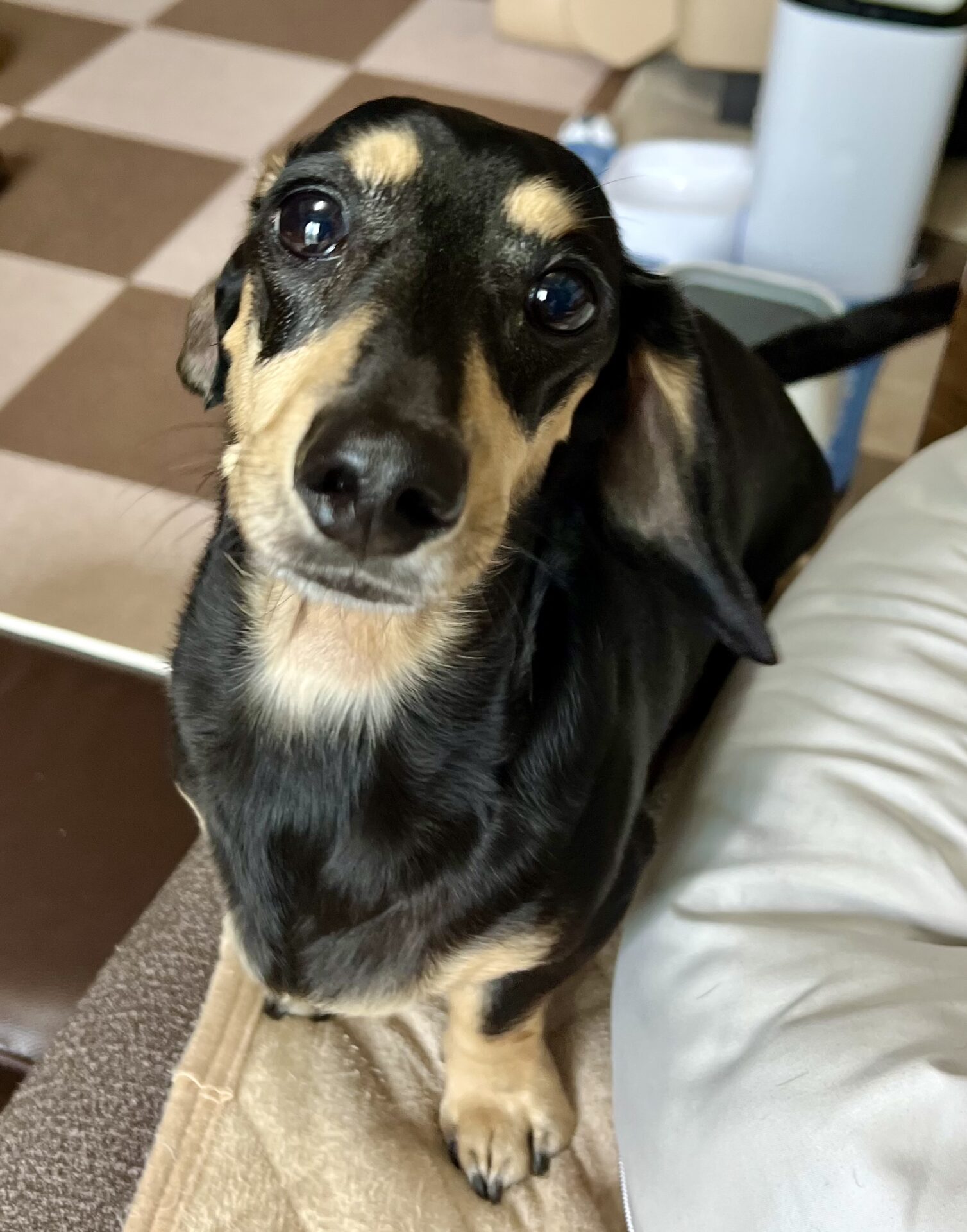 ダロンイ君♪通常コース　リピートのご依頼♪