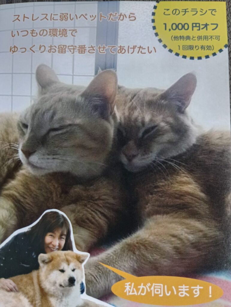 寅次郎🐯のパンフレット