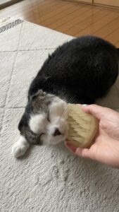 😺階段の下から、じー☺️