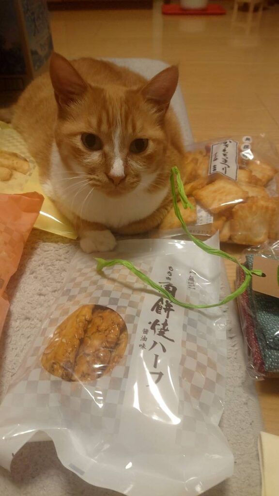 お友達紹介(=^_^=)