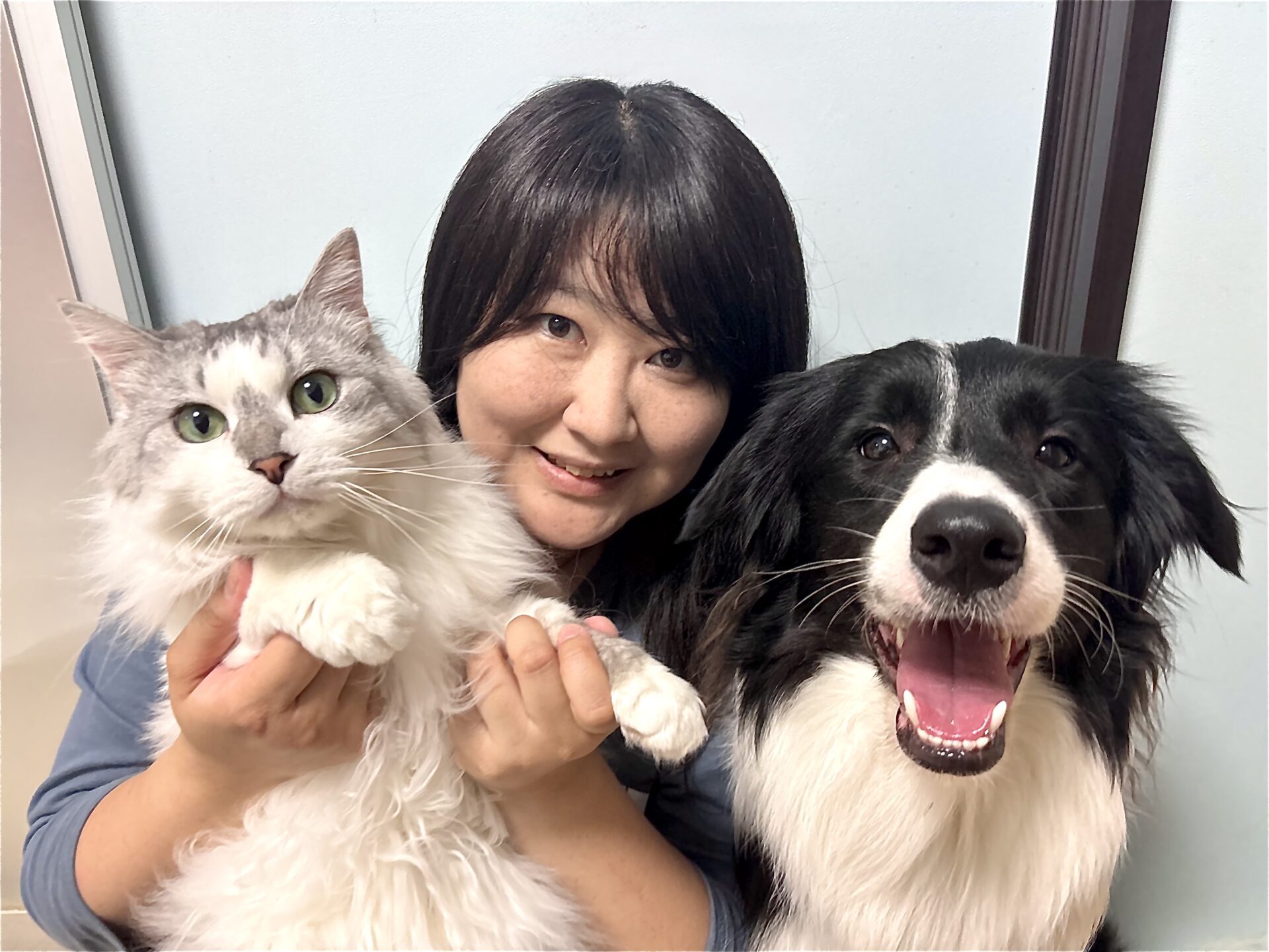 ペットシッターさいとう