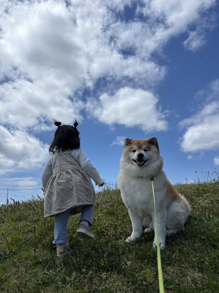 和みの光景✨