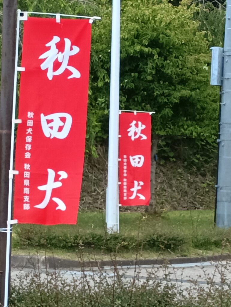 秋田犬ふれあい会🐶