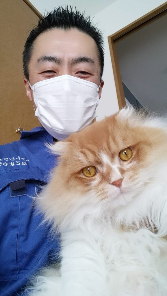 中野区 お得意様 フワふわフサふさ スコティッシュフォールドくん お世話レポート🐈