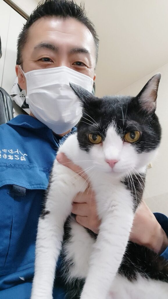 新宿区 お得意様 超絶甘えん坊の白黒ニャンくん お世話レポート🐈