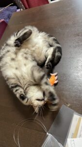 😺初めましてのお友達✨