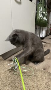 😺初めましてのお友達✨