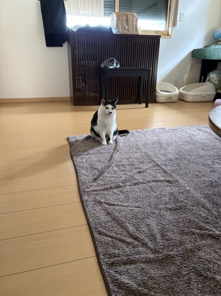 むーちゃんのお世話(長泉町)