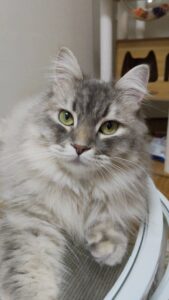 😺初めましてのお友達😺