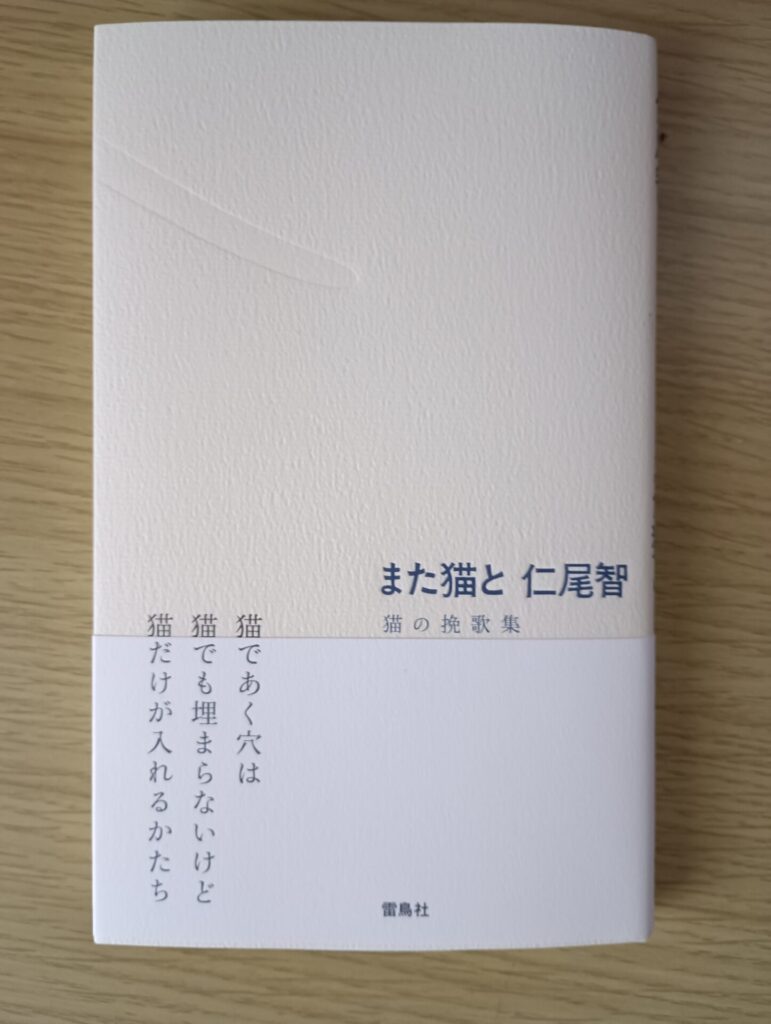 「また猫と」