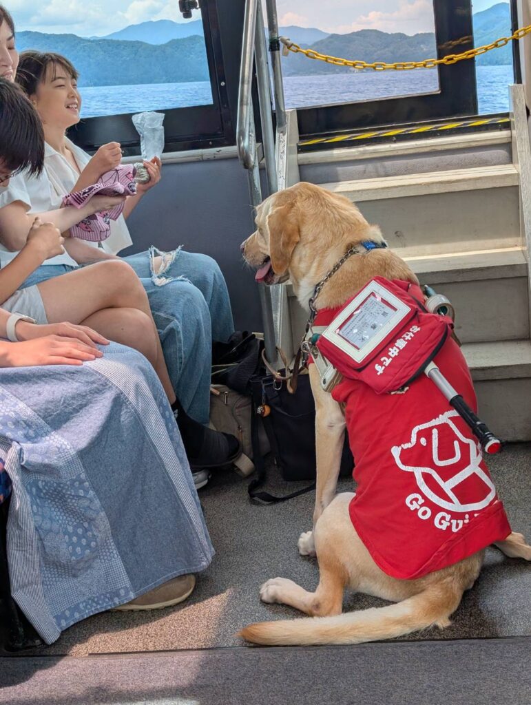 盲導犬🐶😌