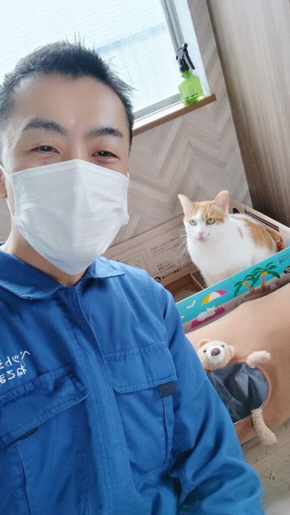 新宿区 お得意様 元気良すぎの茶白くん お世話レポート🐈