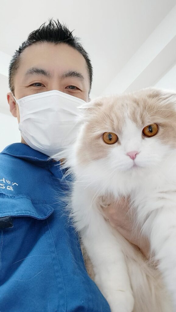 新宿区 ご新規様 もふもふスコティッシュフォールドくん お世話レポート🐈