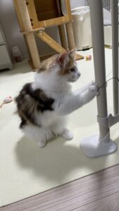 😺初めましてのお友達✨